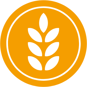 Gluten